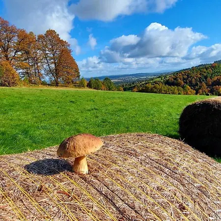 Apartament Sadyba * Świeradów-Zdrój