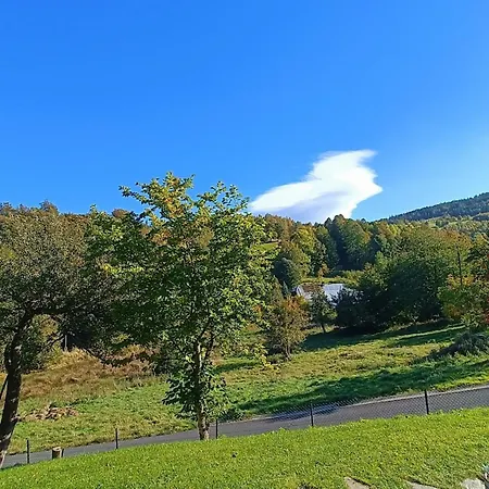 Apartament Sadyba Apartment *