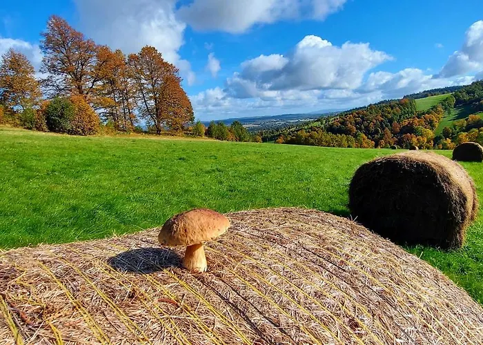 Apartament Sadyba * Świeradów-Zdrój