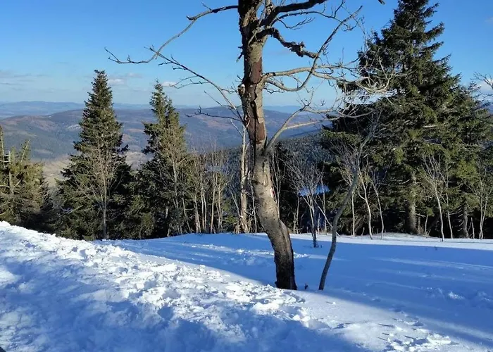 Apartament Sadyba Appartement