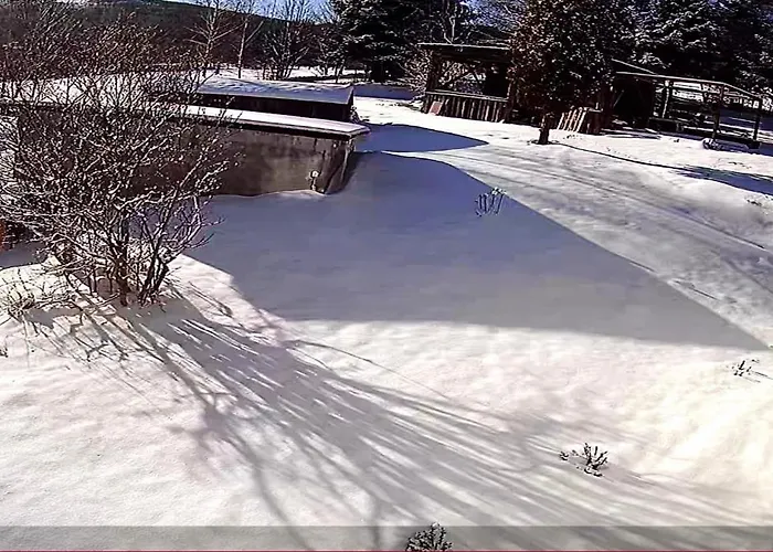 Appartement Apartament Sadyba