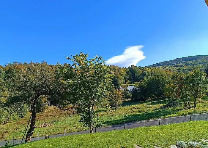 Apartament Sadyba Appartement *